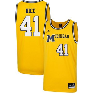 Men Michigan #41 Glen Rice Yellow 1989 Retro Embroidery Jerseys 847104-241