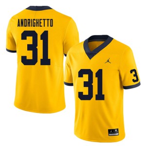 Men's Michigan #31 Lucas Andrighetto Yellow College Jerseys 857341-894