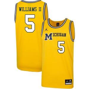 Mens University of Michigan #5 Terrance Williams II Retro Yellow Stitched Jersey 798494-816