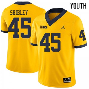 Youth Wolverines #45 Adam Shibley Yellow Jordan Brand Stitch Jersey 430470-445