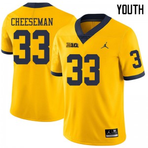 Youth Wolverines #33 Camaron Cheeseman Yellow Jordan Brand Alumni Jersey 459945-412