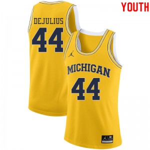 Youth Michigan #0 David DeJulius Yellow Jordan Brand NCAA Jersey 538331-902