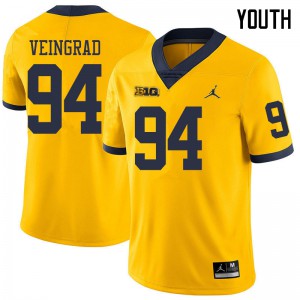 Youth Wolverines #94 Ryan Veingrad Yellow Jordan Brand Football Jersey 672513-789