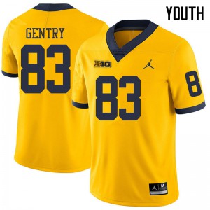 Youth Wolverines #83 Zach Gentry Yellow Jordan Brand NCAA Jerseys 354241-536
