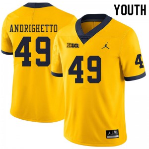 Youth Michigan #49 Lucas Andrighetto Yellow Official Jersey 122484-797