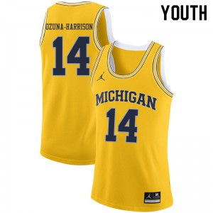 Youth Michigan Wolverines #14 Rico Ozuna-Harrison Yellow Player Jerseys 340192-182