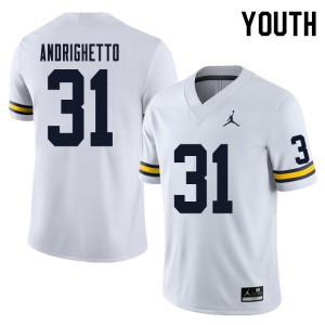 Youth Michigan Wolverines #31 Lucas Andrighetto White Official Jerseys 895299-106