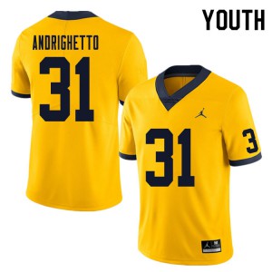 Youth University of Michigan #31 Lucas Andrighetto Yellow University Jersey 136712-711