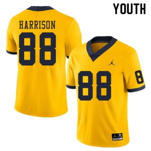 Youth Michigan Wolverines #88 Mathew Harrison Yellow Player Jersey 957773-528