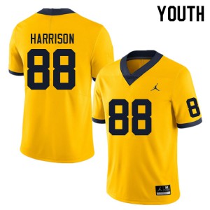 Youth Michigan Wolverines #88 Matthew Harrison Yellow University Jerseys 110269-513